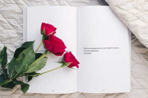 rose rouge sur un livre